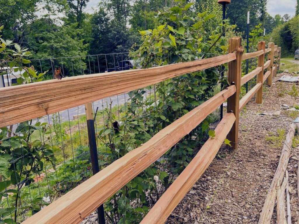 Split-rail Fence