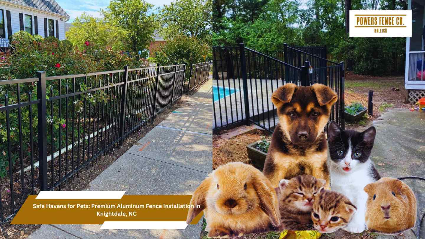 pet-friendly aluminum fencing