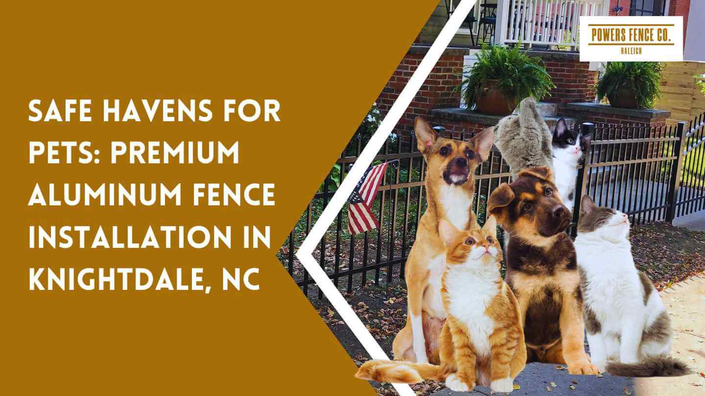 pet-friendly aluminum fencing